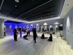 The Luxe (D9), Retail #535173541